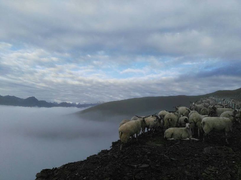 美中国】达瓦更扎看云海冰球突破正规网站【大(图2)
