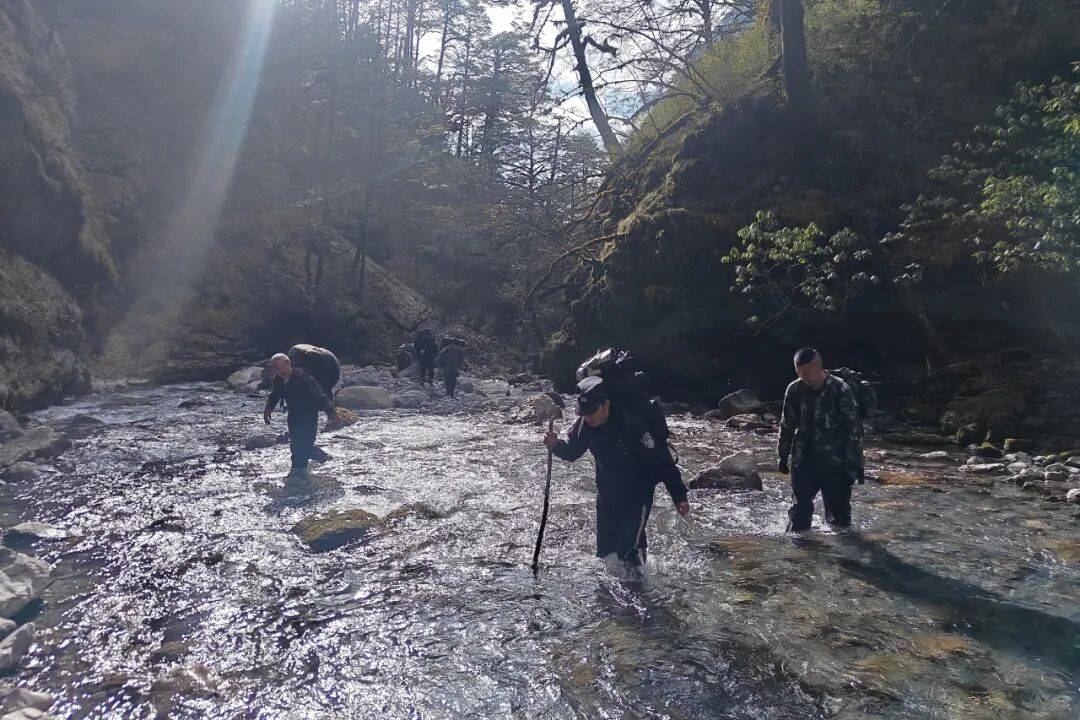 野生动物制品一批抓获犯罪嫌疑人2名!冰球突破雅安公安联合巡护